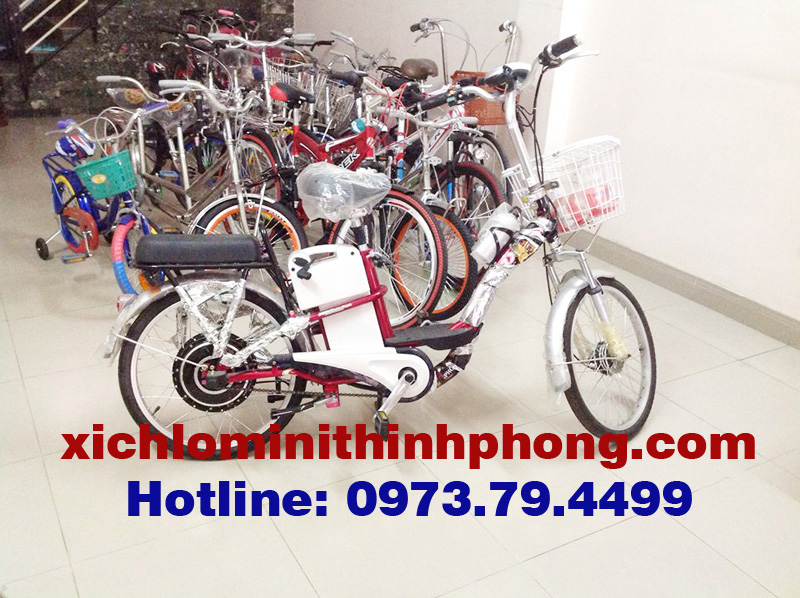 Xe đạp điện Bánh Căm