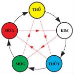 Tư vấn chọn sơn nhà phòng ngủ,sơn lót kiềm nội thất tuylips Ngu_1