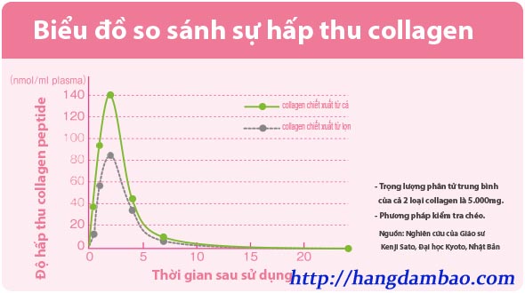 bieu-do-so-sanh-luong-collagen