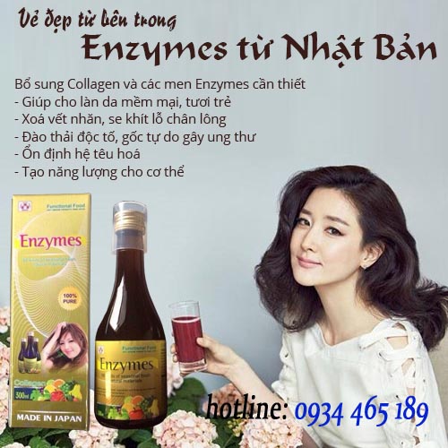 Collagen-Enzymes 