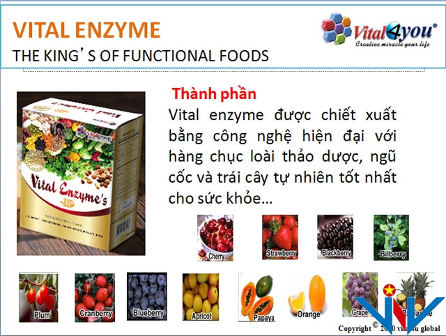 thanh-phan-vatal-enzymes 