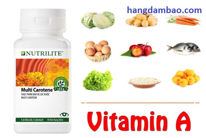 thanh-phan-vitamin-1-amway 