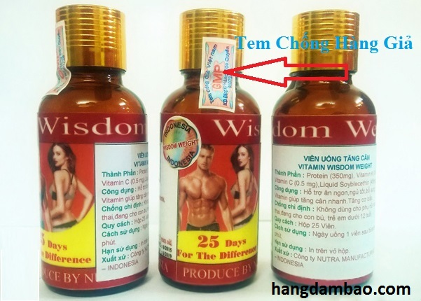 tem-chong-hang-gia-vitamin-wisdom-weight 
