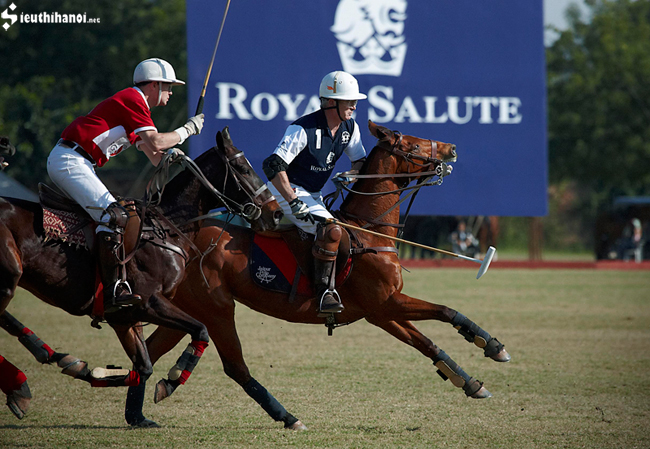 royal salute 21 world polo