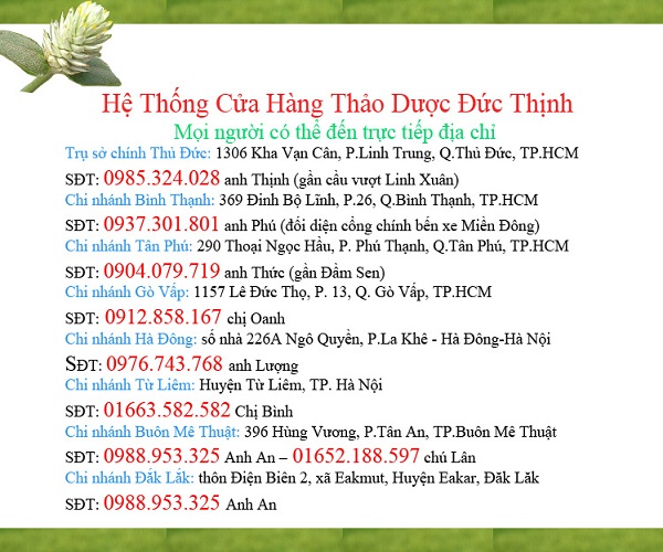 thao duoc duc thinh
