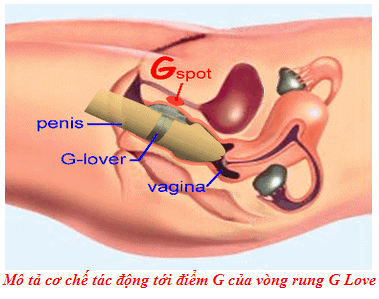 Dùng vòng rung G Love để kích thích điểm G