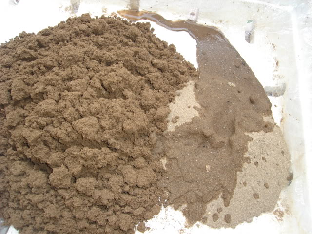 cát để trồng rau mầm