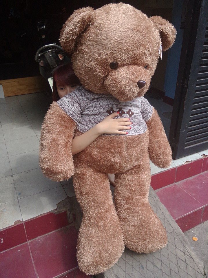 teddy