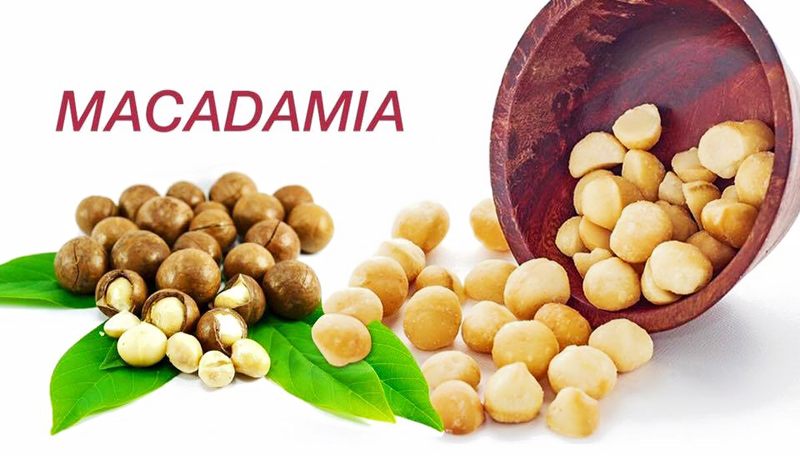 Cách chế biến và ăn hạt mắc ca, macadamia