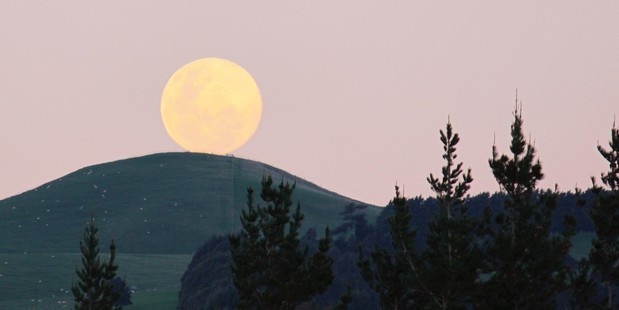 Siêu mặt trăng mọc từ núi Rangitumau, Masterton, New Zealand ngày 10/8. Ảnh: NZ Herald