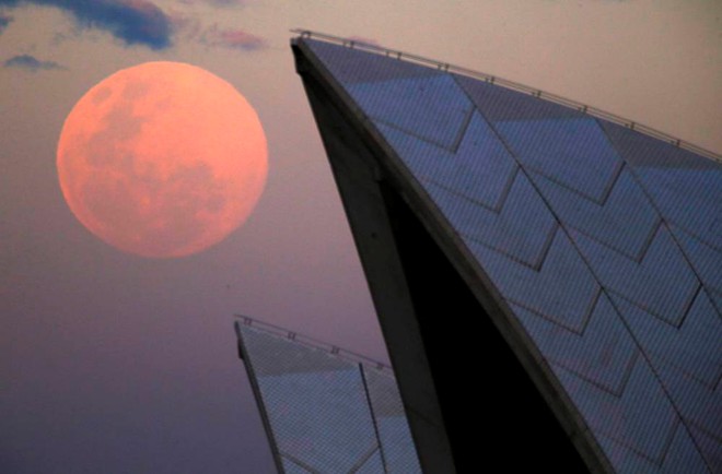 Quan sát mặt trăng mọc qua mái của nhà hát Sydney Opera House, Australia. Australia và New Zealand là hai nước có thể quan sát hiện tượng siêu mặt trăng sớm nhất. Hiện tượng xảy ra khi mặt trăng di chuyển gần trái đất nhất, khiến con người quan sát thấy mặt trăng lớn hơn và sáng hơn so với bình thường. Ảnh: Reuters