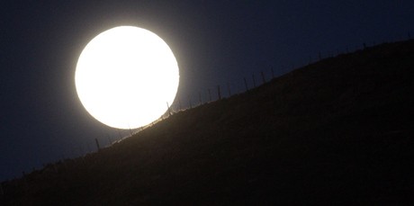 Mặt trăng mọc qua đồi Havelock, New Zealand. Trong năm 2014, Mặt trăng cũng có vài lần trăng tròn nhất,nhưng khoảng cách giữa mặt trăng - trái đất lớn hơn và thời điểm giữa lúc cận điểm và lúc trăng tròn cũng cách nhau khá xa so với ngày 10 và 11/8. Ảnh: NZ Herald