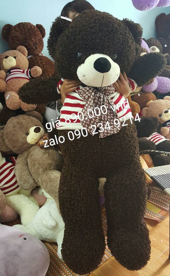 gấu bông teddy xinh