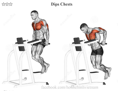 Dips Chests
