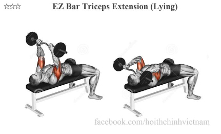 EZ Bar Triceps Extension