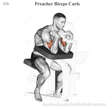 Preacher Biceps Curls