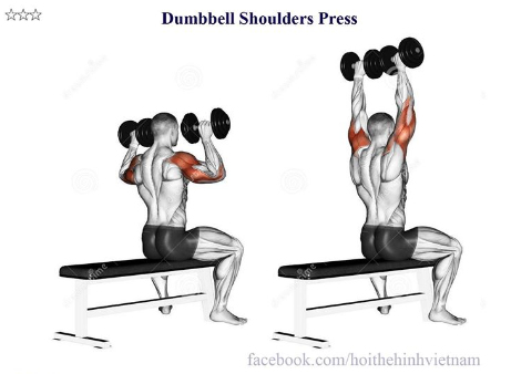 Dumbbell Shoulders Press
