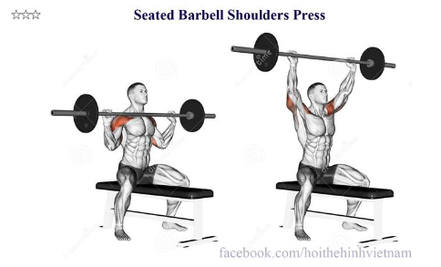 Seated Barbell Shoulders Press