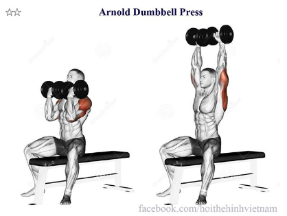 Arnold Dumbbell Press
