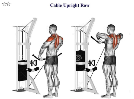 Cable Upright Row