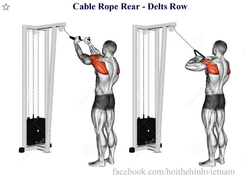 Cable Rope Rear - Delts Row