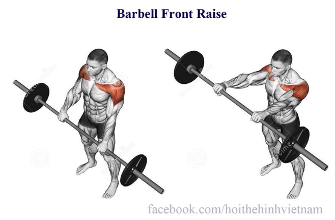 Barbell Front Raise