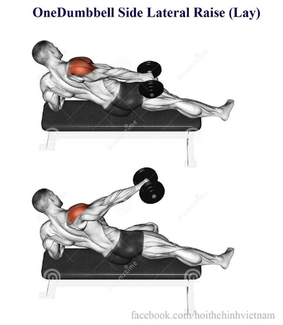 OneDumbbell Side Lateral Raise (Lay)