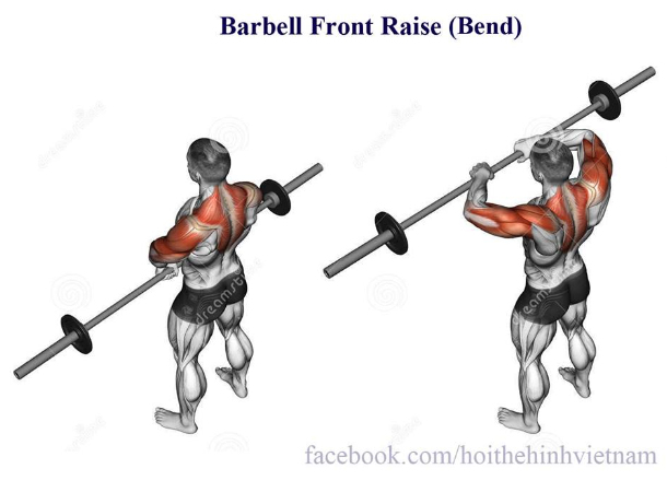 Barbell Front Raise (Bend)