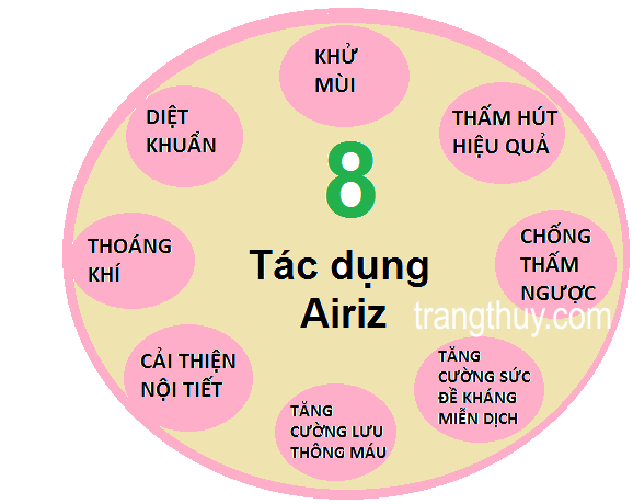 Băng vệ sinh Airiz hàng ngày