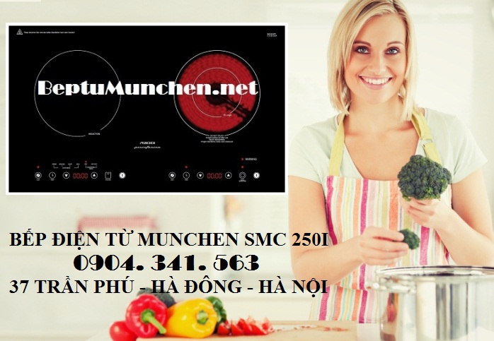 Bếp điện từ Munchen SMC 250I nhập khẩu cao cấp