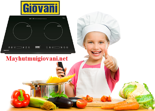 Tại sao nên dùng bếp từ Giovani G 272T?