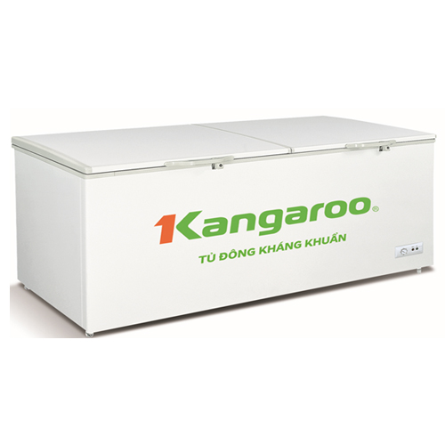 Tủ đông kháng khuẩn Kangaroo KG4500C1