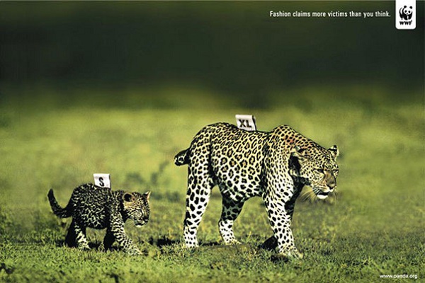 Ám ảnh poster chống tiêu thụ động vật hoang dã
