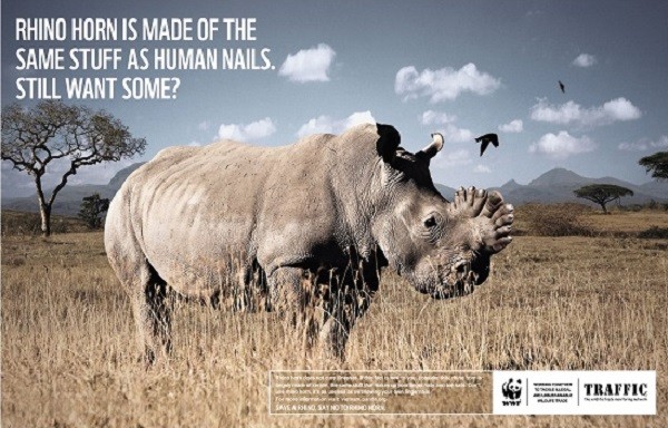 Các poster "kêu cứu" động vật hoang dã khiến bạn giật mình  