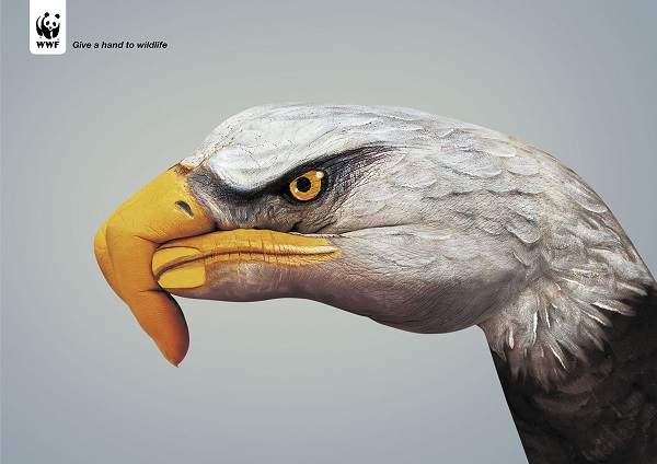 Các poster "kêu cứu" động vật hoang dã khiến bạn giật mình  