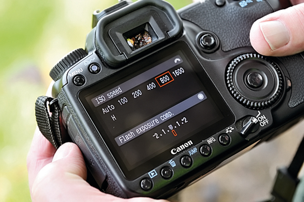 So you’ve just bought your first DSLR / CSC... now what?