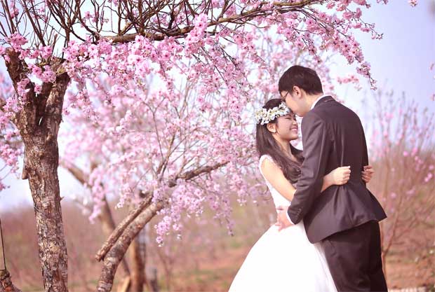 vuon hoa phuong linh 1 20 địa điểm chụp ảnh cưới hot nhất năm 2014