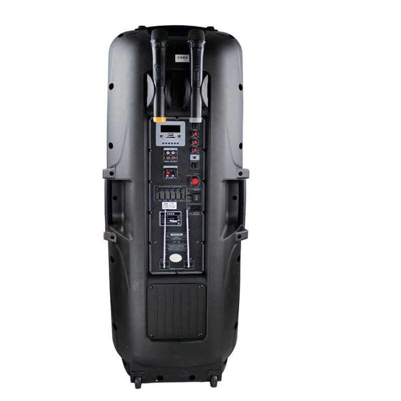 Loa vali kéo di động Temeisheng 2 bass A65 – loa công suất lớn