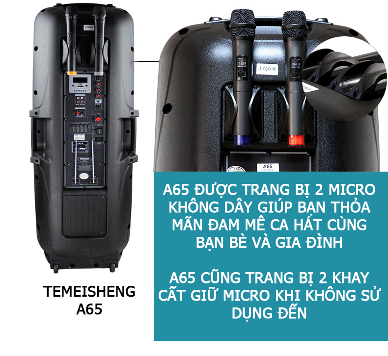 Loa vali kéo di động Temeisheng 2 bass A65 – loa công suất lớn