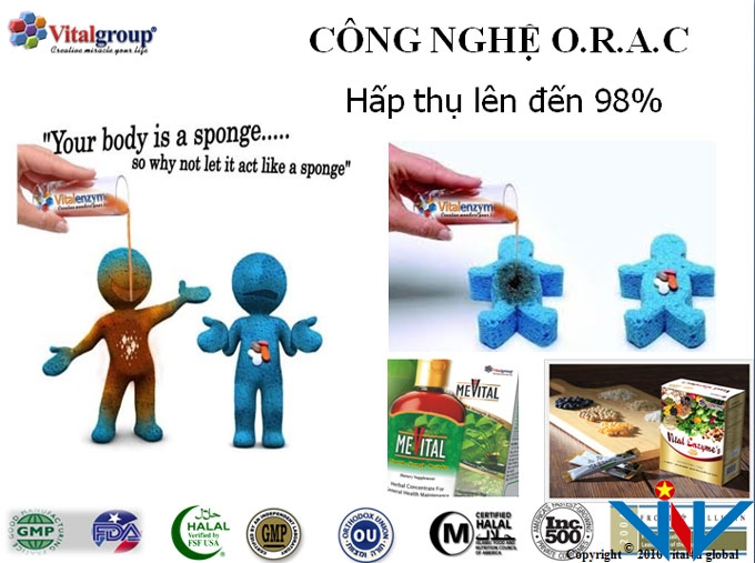cong-nghe-trong-vital-enzyme