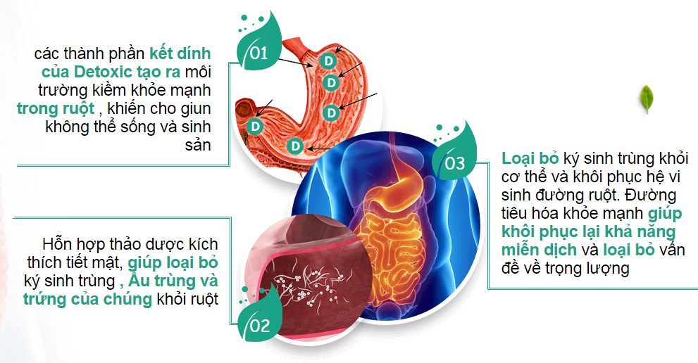 thuoc_detoxic_cua_nga_diet_ky_sinh_trung_redepben.jpg