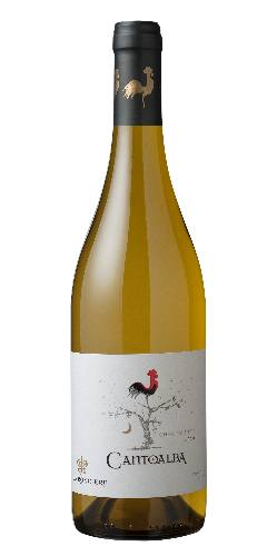 giá rượu Cantoalba Chardonnay 2015