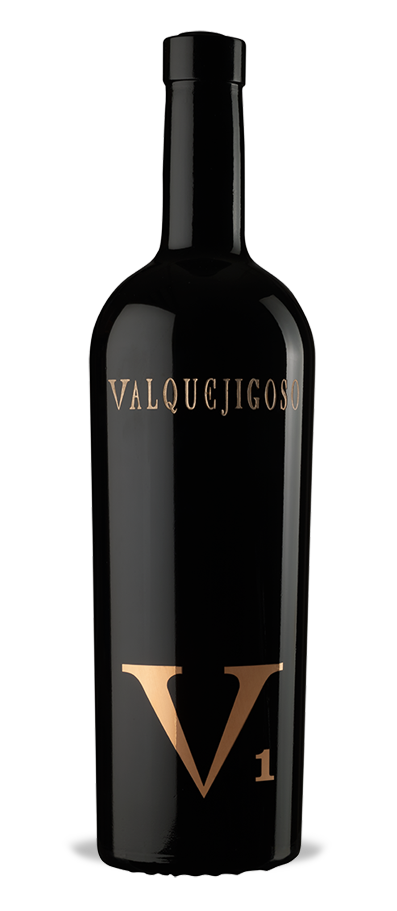 giá rượu V1 Valquejigoso 2008