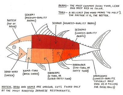 Cá Ngừ Vây Xanh Otoro