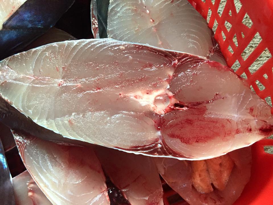 Nên dùng cá thu Phú Quốc để làm cá thu một nắng