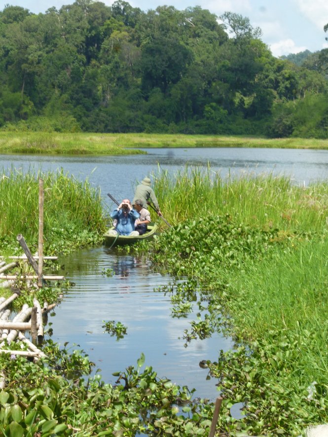 Du khách nước ngoài vừa thực hiện chuyến đi thong dong ngoài đầm ngắm cá sấu - Ảnh: Xuân Lộc