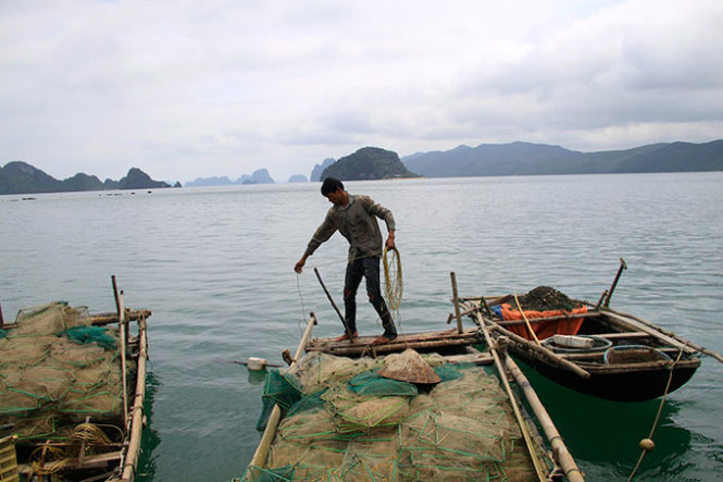 			Ngư dân trên làng chài đang thu lưới - Ảnh: Lê Hồng Thái			