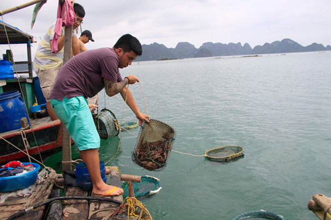 Hải sản tươi ngon được du khách rất thích thú - Ảnh: Lê Hồng Thái