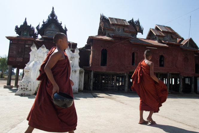 Giấc mơ trưa yên bình - Ảnh: Thủy Trần