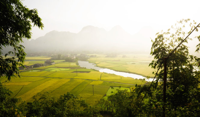 Người dân nơi đây trồng lúa hai vụ một năm. Lúa chín khoảng tháng 7 và 11 - Ảnh: Diệu Huyền